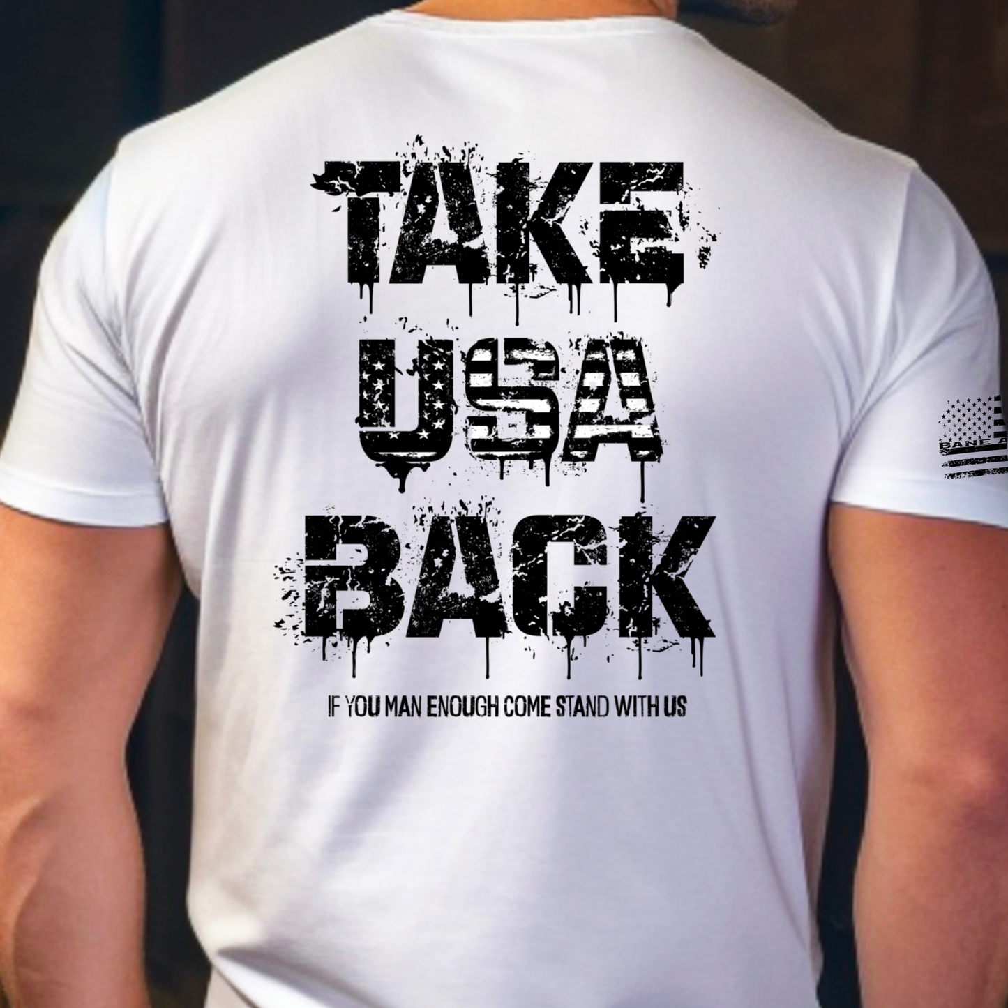 Take USA back PNG